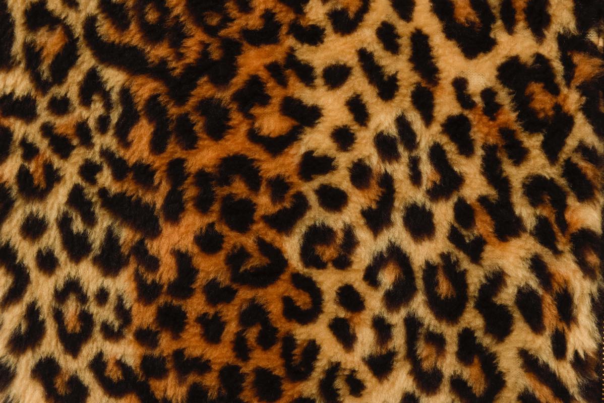 h*o様 希少BEAMS アニマル ジャケット h*o様 希少BEAMS アニマル ジャケット - メルカリ